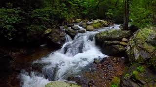 Best Waterfall Hikes In Georgia  - Anna Ruby Falls