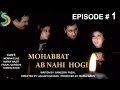 Maria wasti anjum shahzad ft noman ejaz  mohabbat ab nahi hogi drama serial  episode1