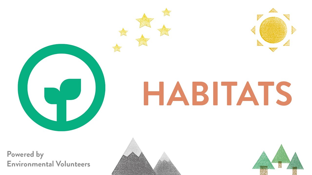 Habitats YouTube