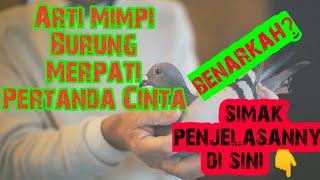 Waaawww! Arti Mimpi Burung Merpati Pertanda Cinta | Mimpi Menangkap Burung Merpati