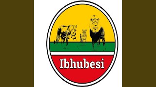 Ibhubesi