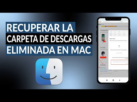 Cómo recuperar la carpeta de descargas eliminada en MAC - Paso a paso