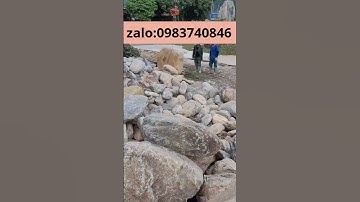 Đá cuội vân mây làm hồ cá koi . liên hệ 0983740846