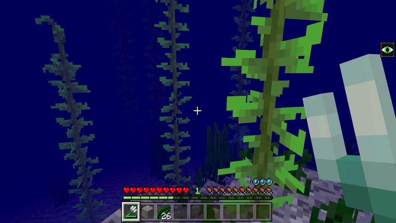 Minecraft PE (BedRock Edition) Aquatic Update News - YouTube