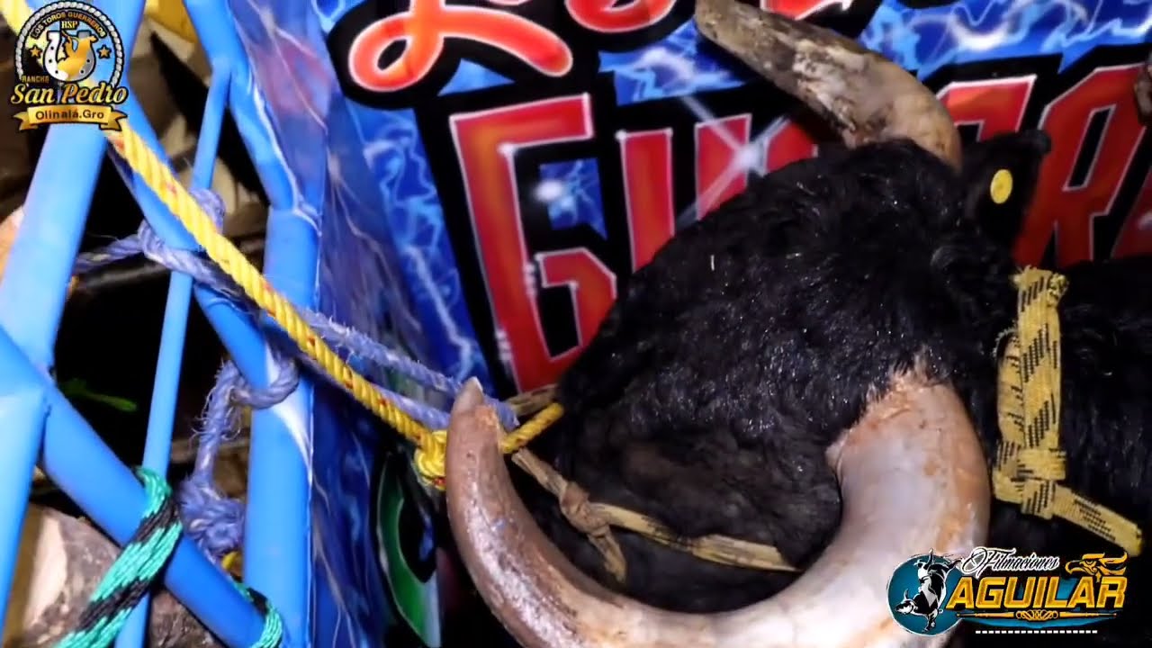 Nuevos Refuerzos! Rancho san pedro de olinala gro. En el barrio de san Nicolas cualac gro.