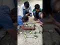 লেবু আর  তিতাকরলার অসাধারণ খেলা || villagegame ||benggali gamingvideo