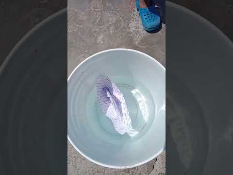 RC Nab Drone Toys Rccar Experiment Automobile Rctoyscompany Rcboat 