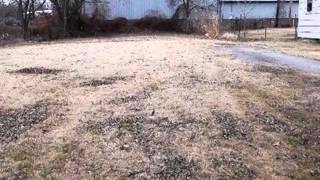 1118 W 3rd St video tour