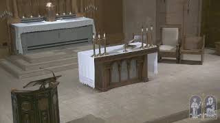 Tuesday Fifteenth Week in Ordinary Time