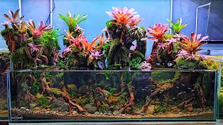 #258 Aquascape tank ceper 