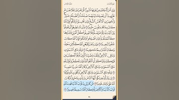 سورة النساء من الايه 128 إلى الآية 140 محمد ايوب