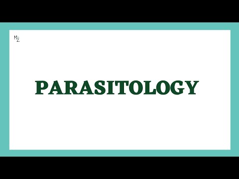 Introduction to Parasitology | Classification | medzukhruf