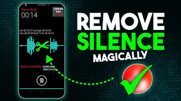 How to Remove Silences from Voiceover Automatically | Best Audio Editing App 2025