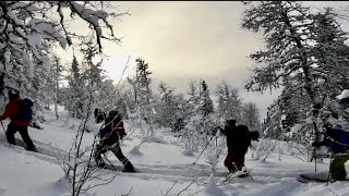 W4R Ski Association shredding pow in Borgafjäll (2019)