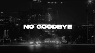 Paul Kalkbrenner - No Goodbye (NOIZBASSES REMIX)