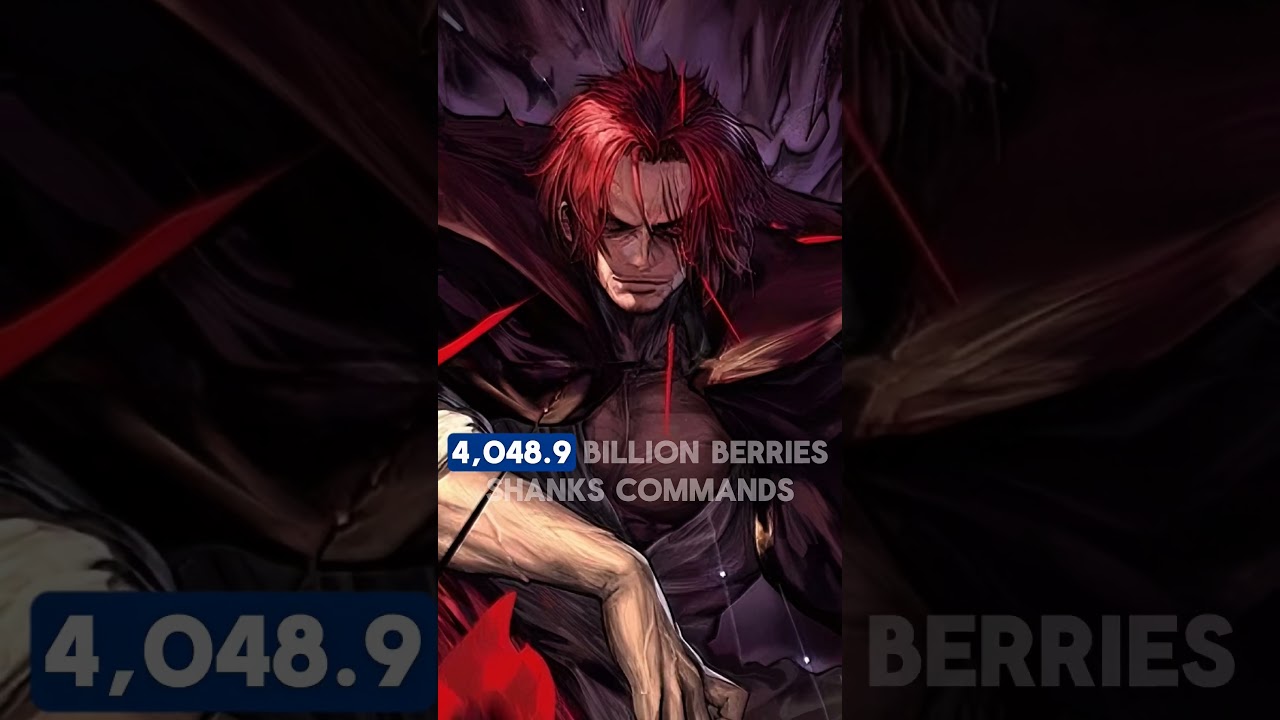 The Top 10 Highest Bounties In One Piece 