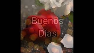 hermoso gifs de buenos días 😍😄