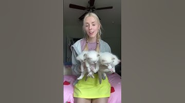 This video took so long to make, but it was cool to see the transformation of Summer