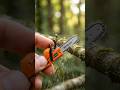 Can This Tiny Chainsaw Cut Real Wood? 🌿