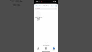 How to Import Flashcard to Anki App on iPhone | Import APKG File