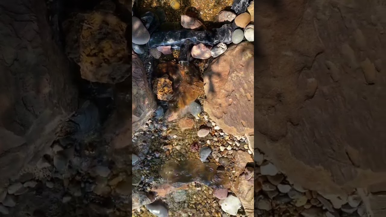 Bog filter Waterfall almost done auf YouTube ansehen Bog filter Waterfall almost done auf YouTube ansehen