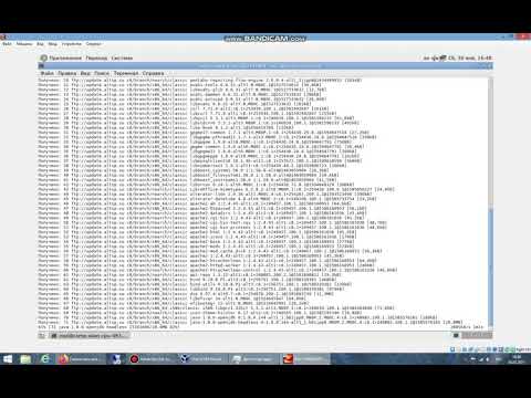 Alt Linux 8 СП рабочая станция. Часть 1