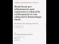 Renal Tissue Pro Inflammatory Gene Expression Is Reduced By Erythropoietin In Rats Su RTCL TV Renal Tissue Pro Inflammatory Gene Expression Is Reduced By Erythropoietin In Rats Su RTCL TV