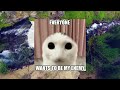 Top 5 Cat Memes - Misery Edition (part 3)