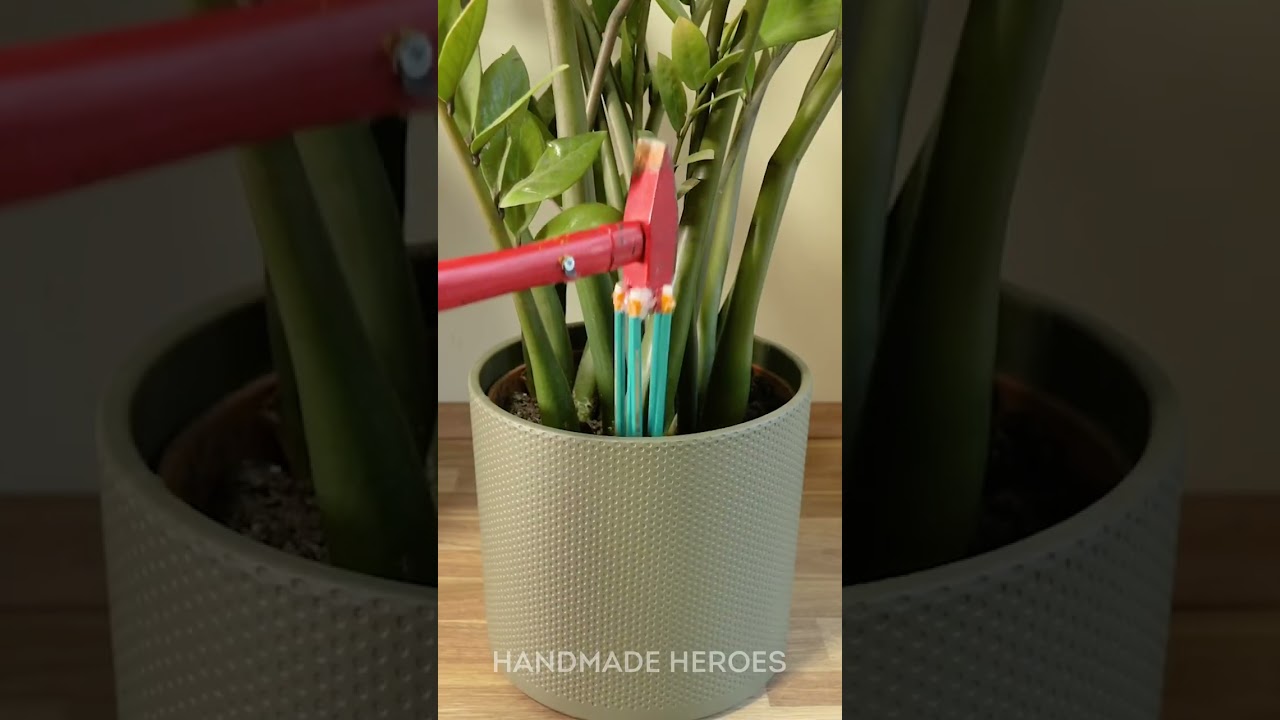 Keeping houseplants healthy with a quick soil poke and spray 🪴