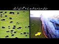 8 Unbelievable Natural Phenomenon In The World Urdu | قدرت کے عظیم کرشمے | Haider Tv