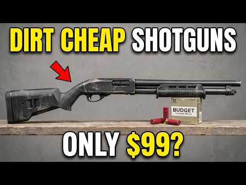 10 Best Home Defense Shotguns Under $200 [LOW Cost, DEADLY Power]