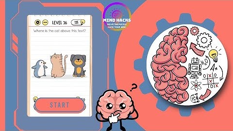 Brain Test: Where is the cat above this text? | Level 36