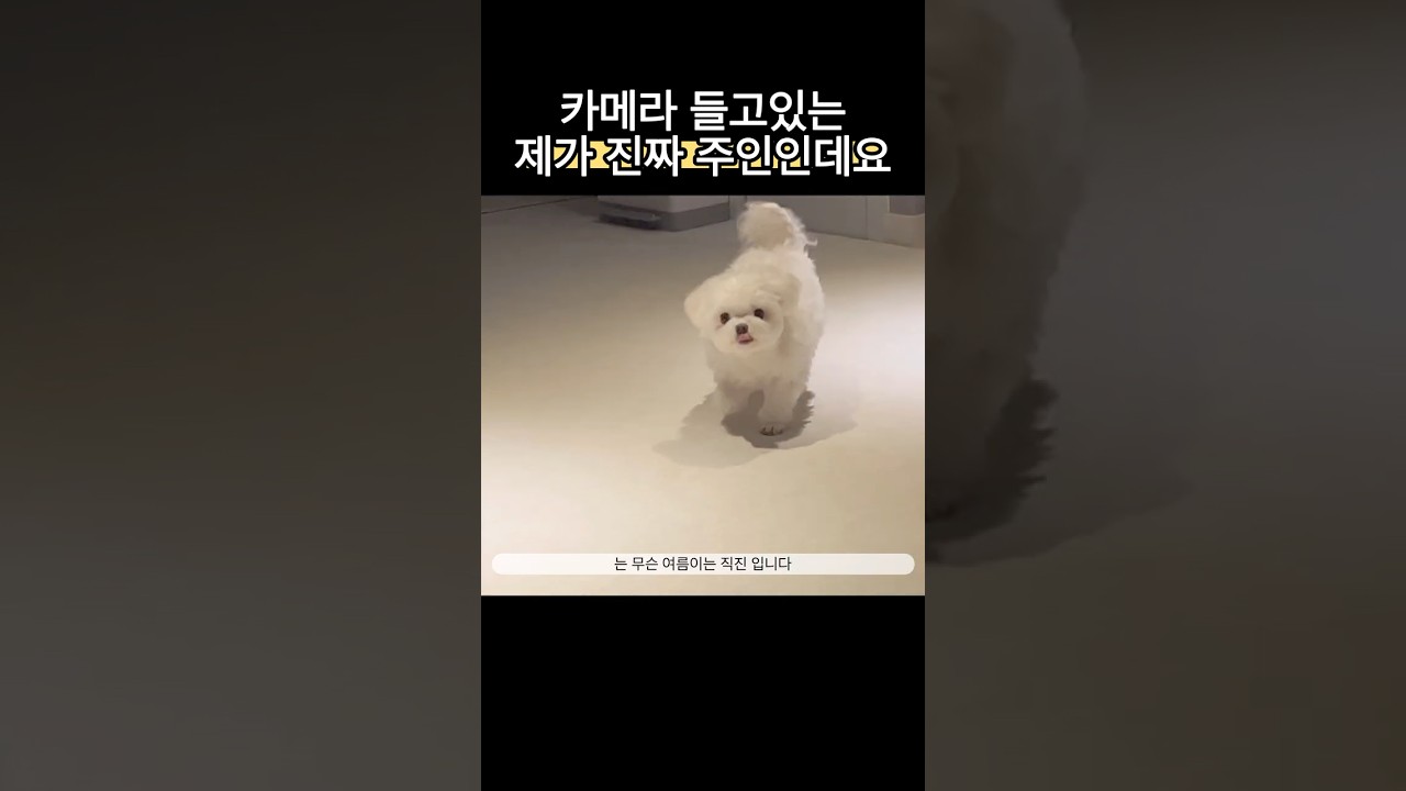 투명인간은 열심히 찍기나 할게요