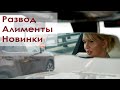 Развод 😱 Алименты 💸 Новинки 👍 Семейный адвокат 🇷🇺 Дележка имущества и детей ☑️