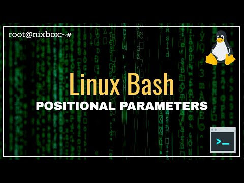 What are Positional Parameters in Bash (Introduction)