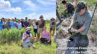 Environmental Discovery Awards Program Summer Internship 2025