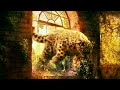 Photomanipulation Speedart "The jump into Freedom"