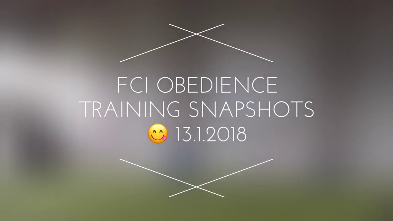 FCI Obedience training, Berghausen, Jan 2018