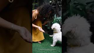 Unlocking ChatGPT s Hidden Potential 5 Mind-Blowing Hacks You Didn t Know