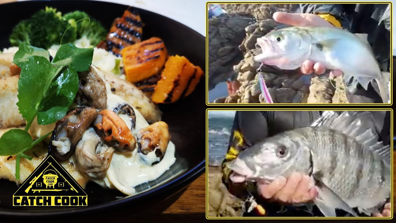 3 Baits, 3 Fish [CATCH COOK] The Wreck, Port Elizabeth, RSA YouTube