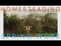 Big Changes On The Homestead | Spring Work In Central Portugal