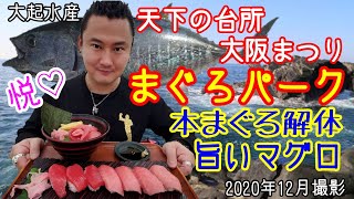 【グルメ】大起水産・まぐろパーク！本まぐろ解体＆旨すぎるマグロを食す！