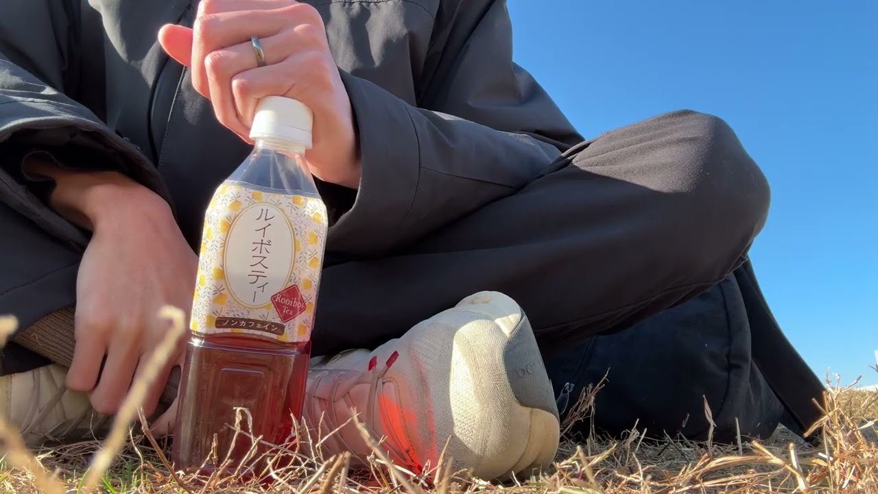 ズートピア2を観てきました （微ネタバレ注意）