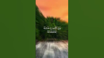 تلاوة عطرة من سورة البقرة للقارئ أحمد العجمي #quran #قرآن #تلاوة_خاشعة #اذكروا_الله_يذكركم #أذكار