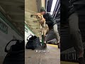 イケアのバッグを使って愛犬を運ぼう!