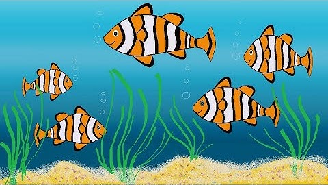 how to draw in computer. aquarium fish drawing easy