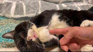 仕事納めなのでたくさんもんたもんたした。