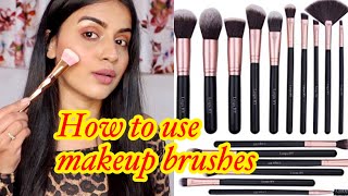 MAKEUP BRUSHES FOR BEGINNERS | Makeup Brushes & Their Uses | Affordable Makeup Brushes Set In India