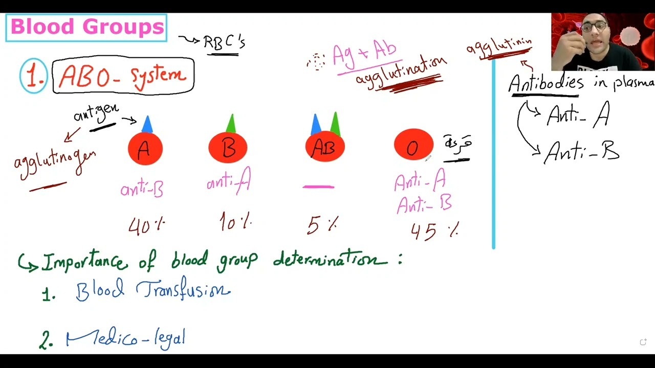 Blood Groups (Practical - 102)
