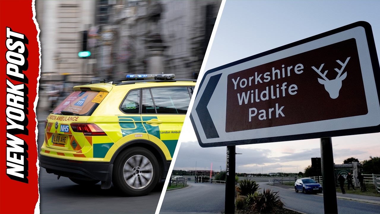 Ambulance Rushes to Yorkshire Wildlife Park Following Incident in Tiger Enclosure